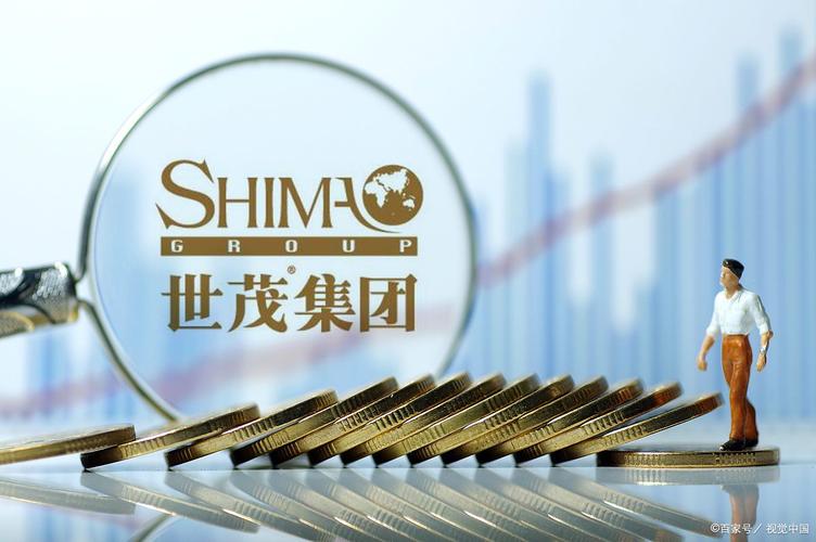 世茂集团因转换可换股债券发行11.26亿股